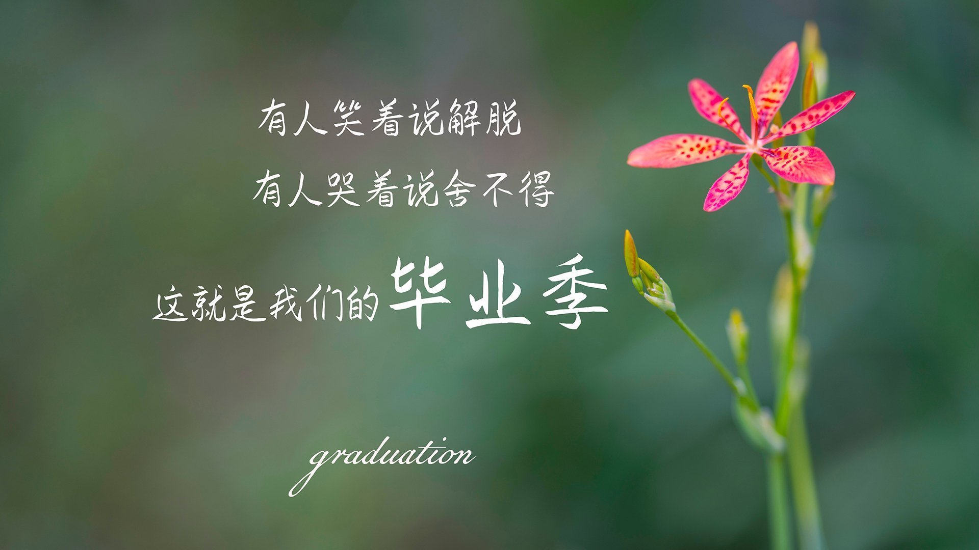 世界举重联赛:技术分解训练提升成功率,举重世界大赛