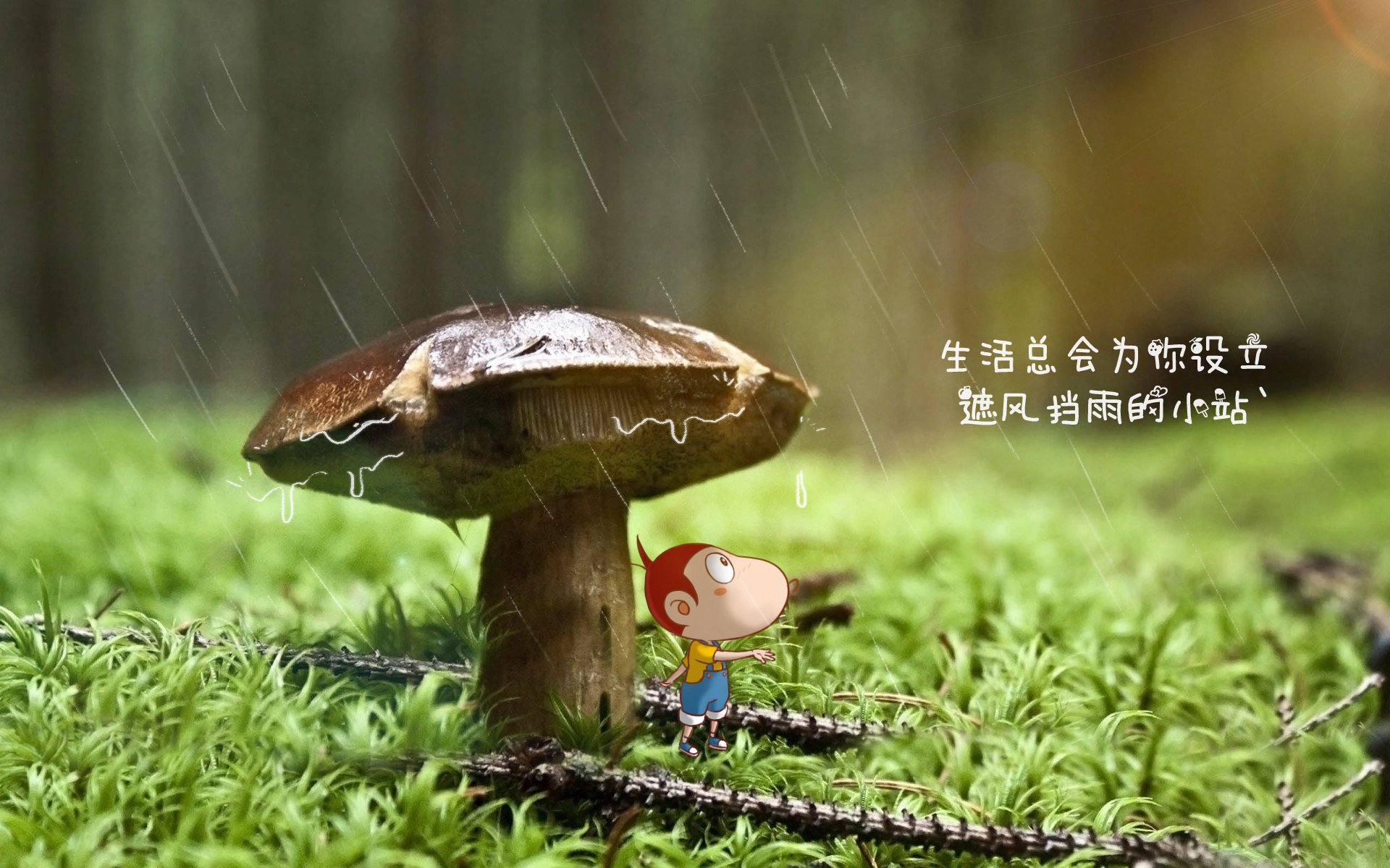 世界体操公开赛:创新动作与安全合规并重,世界体操2021